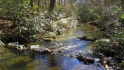 Amy's Creek 1 - Dog Friendly Cabin with Creekside Views and Covered Deck