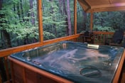 Cherokee Ridge 6 - The Perfect Little Pet Friendly Getaway