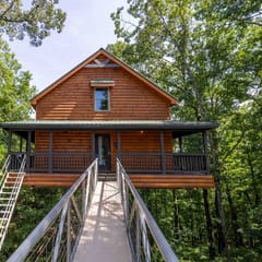 Sky's the Limit - Make a Wish Come True and Book a Treehouse