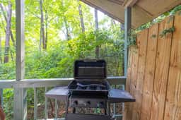 Cherokee Ridge 7 - Pet Friendly Cottage All About Location, Location - Image 5