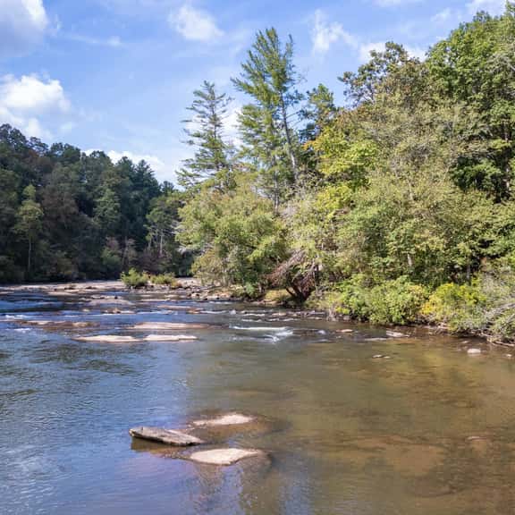 Gaby's on the River - Perfect Vacation Home Short Walk to Chattahoochee River - Image 1