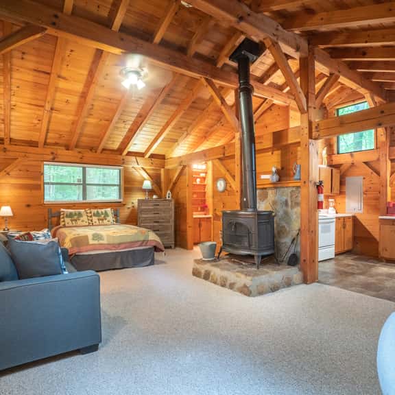 Lazy Bear Den - Cozy Cabin with Open Floor Plan - Image 1