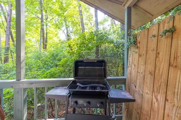 Cherokee Ridge 7 - Pet Friendly Cottage All About Location, Location - Image 5