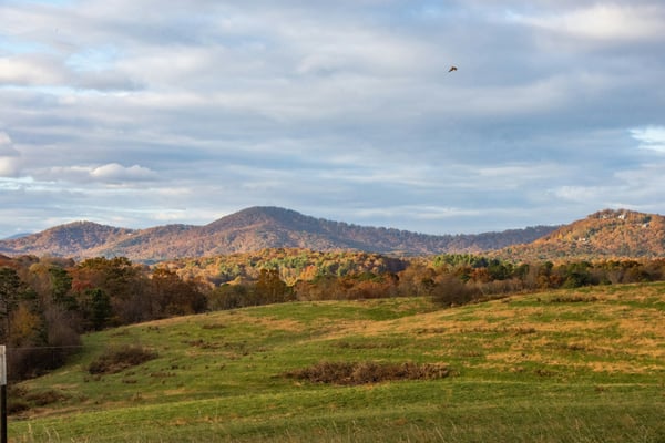 Rolling North Georgia hills and autumn foliage under a wide cloudy sky