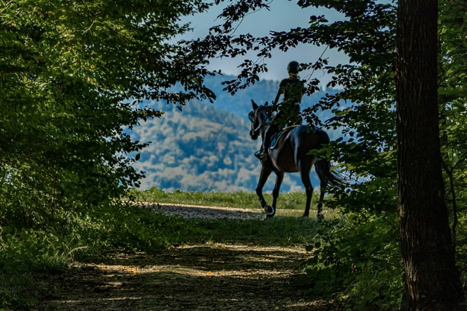 Horseback Riding