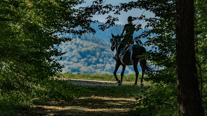 Horseback Riding