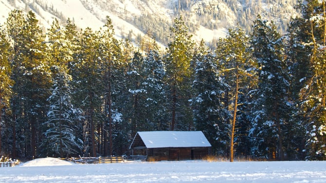 The Twelve Days of Christmas