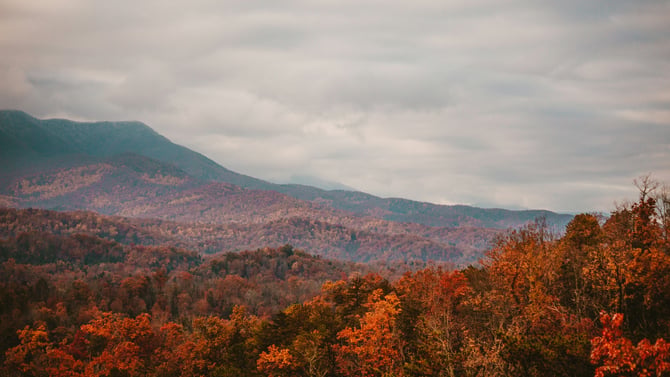 Down-Time at Your Georgia Cabin Rental