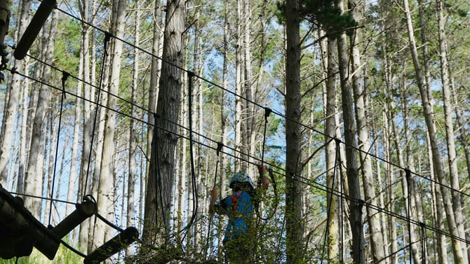 Yonah Quest Adventure Park