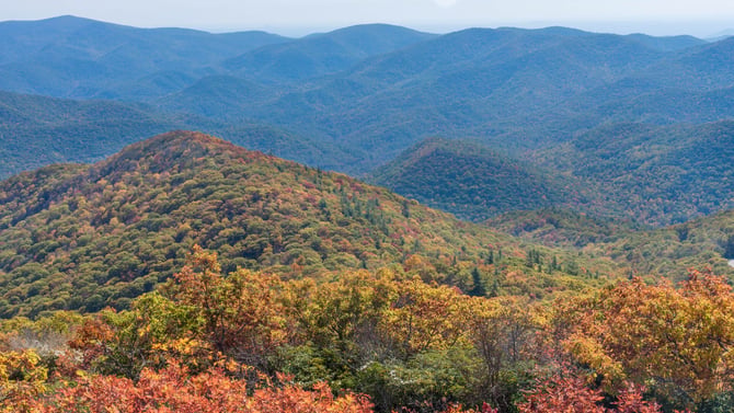 4 Bedroom Cabin Rentals in North Georgia - Group Getaways